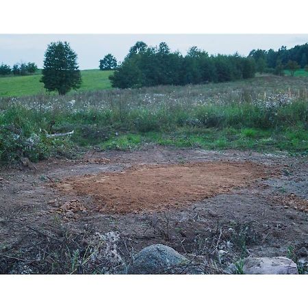 Place For Tent - Miejsce Na Namiot U Stop Natury Kuty المظهر الخارجي الصورة
